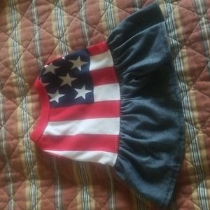 Patriotic Dress for Doggie